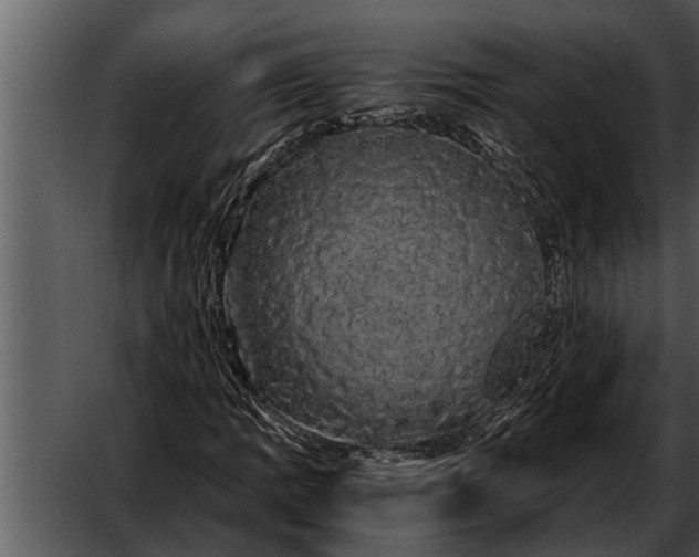 X0000052651109200507160216