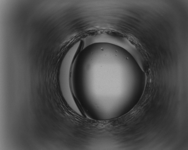 X0000052651110200507160216