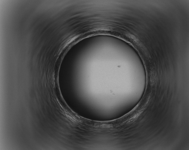 X0000052651113200507160216