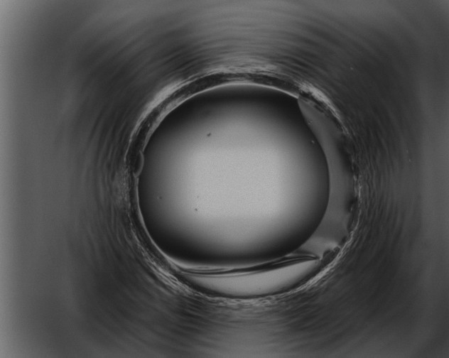 X0000052651114200507160216