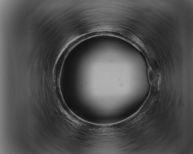 X0000052651116200507160216