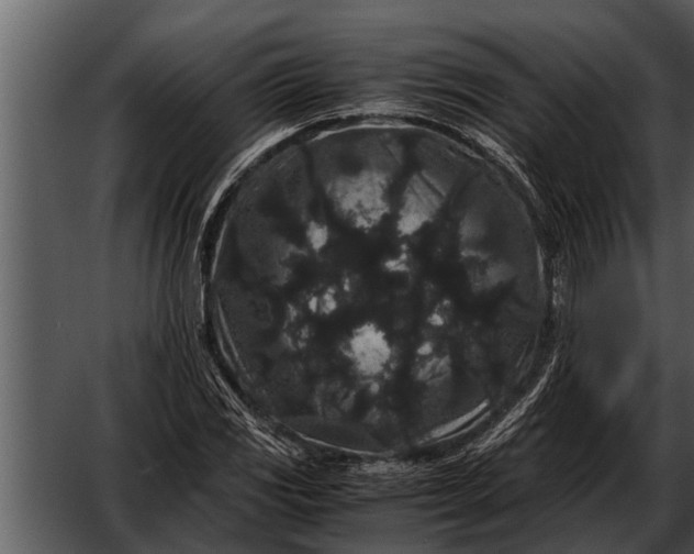 X0000052651117200507160216