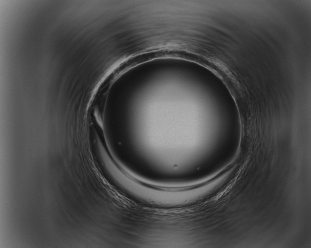 X0000052651118200507160216