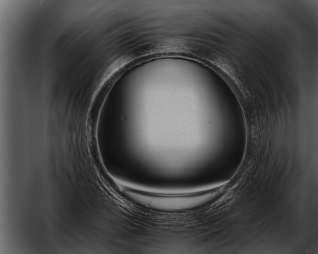 X0000052651119200507160216