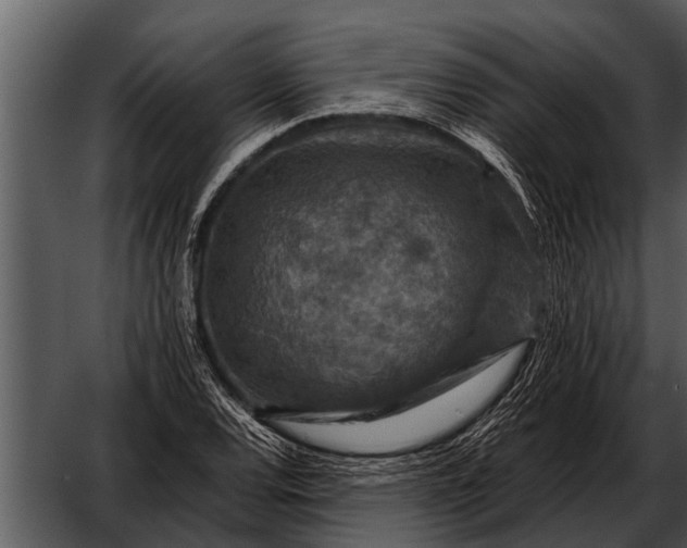 X0000052651120200507160216