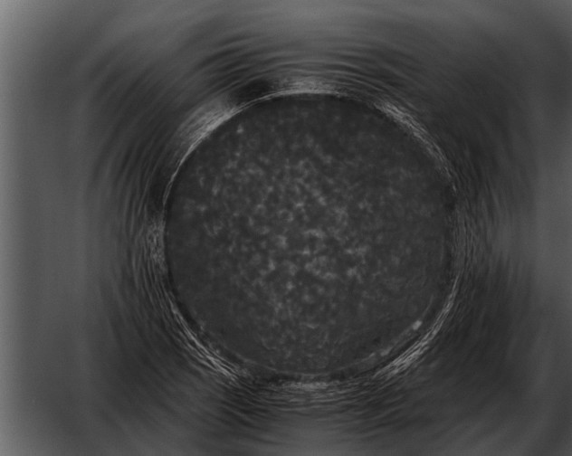 X0000052651121200507160216