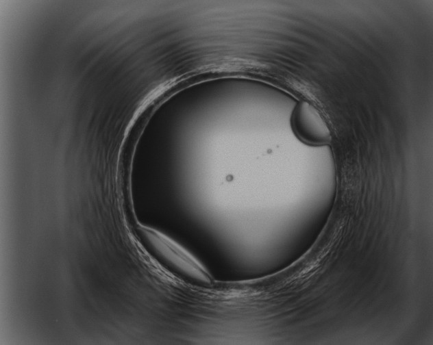 X0000052651122200507160216