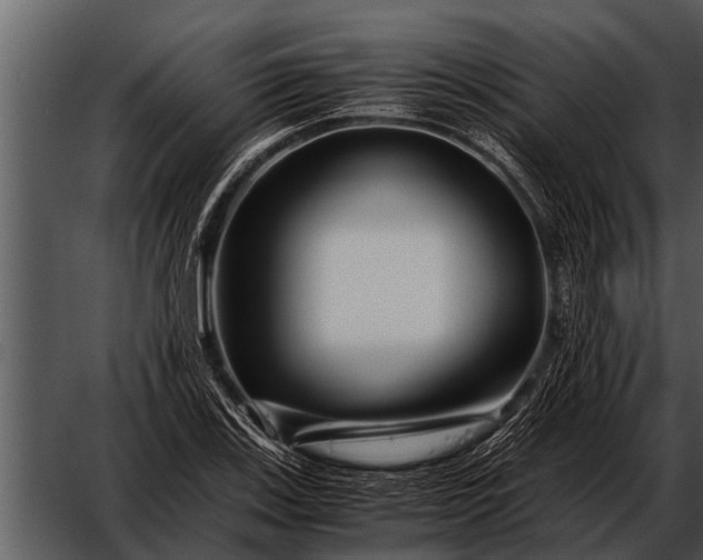 X0000052651123200507160216