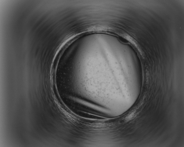 X0000052651124200507160216