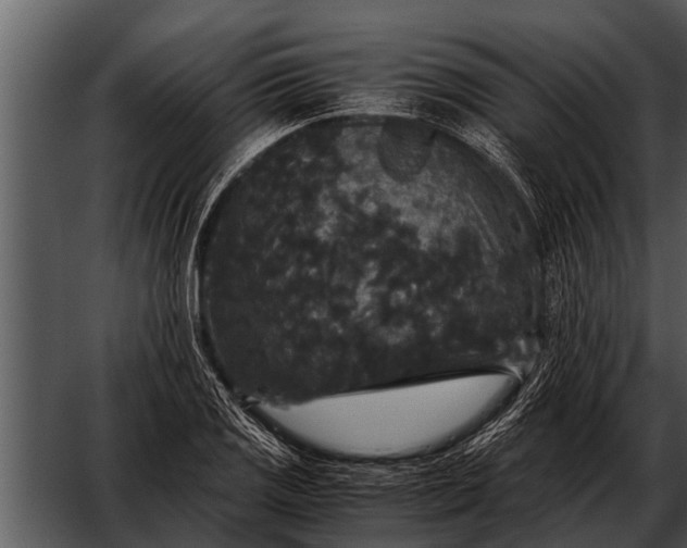 X0000052651125200507160216