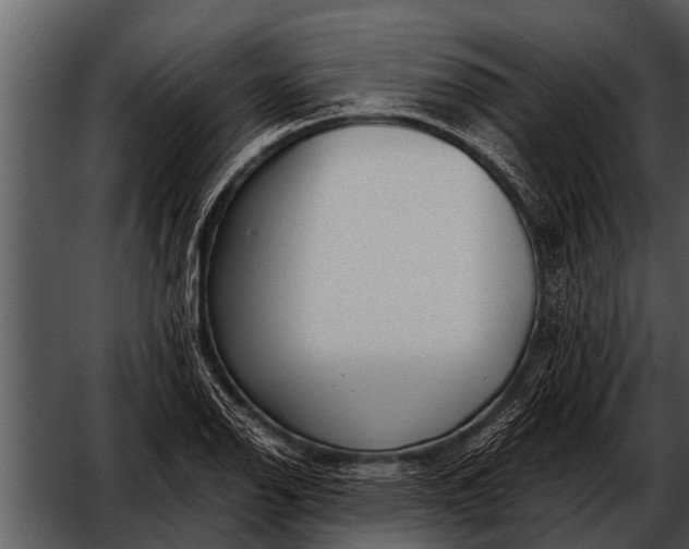 X0000052651126200507160216