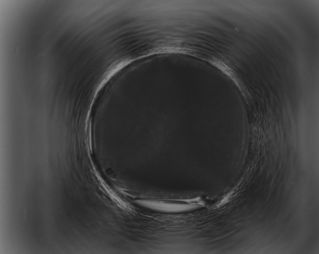 X0000052651127200507160216