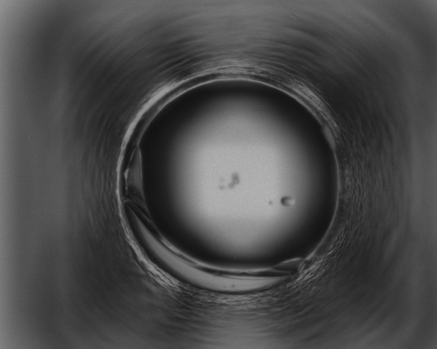 X0000052651128200507160216