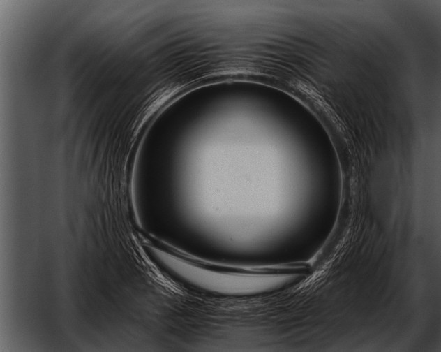 X0000052651129200507160216