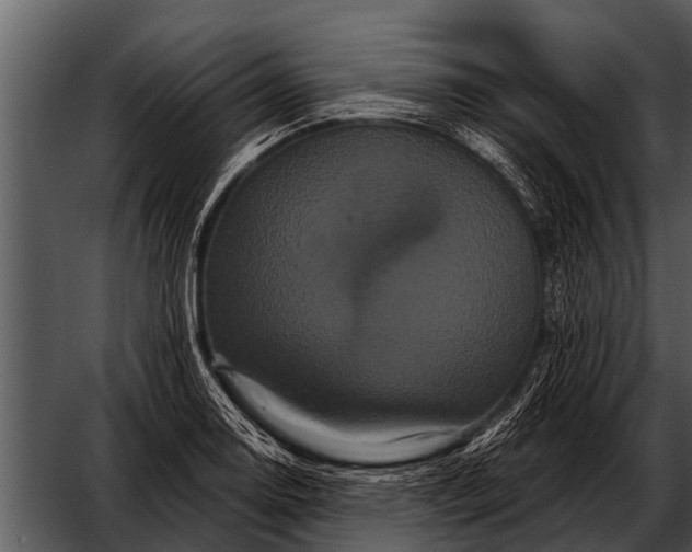 X0000052651130200507160216