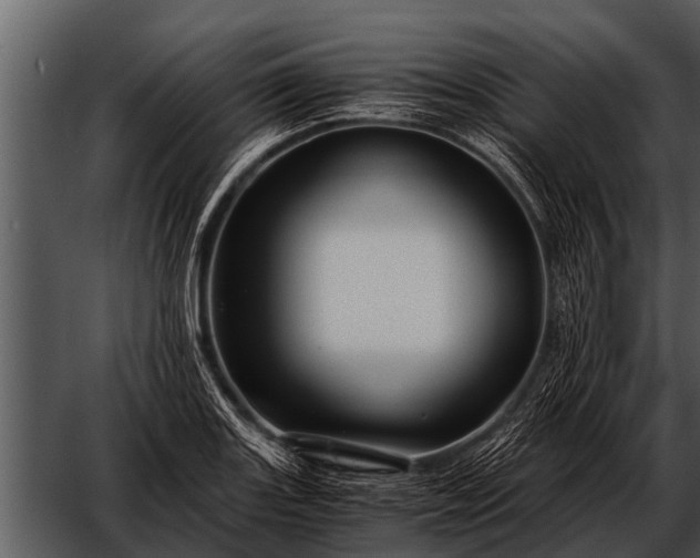 X0000052651131200507160216