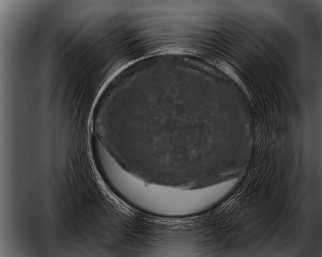 X0000052651132200507160216