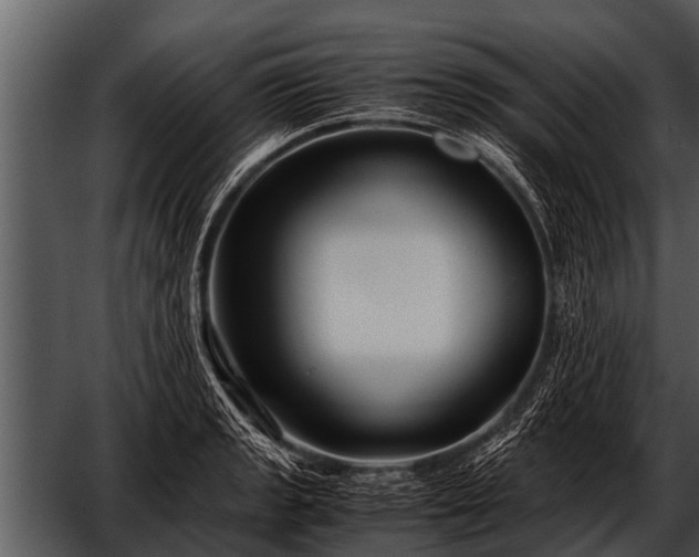 X0000052651133200507160216