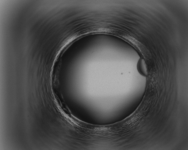 X0000052651135200507160216