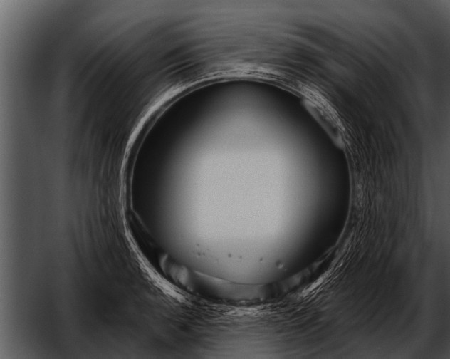 X0000052651136200507160216