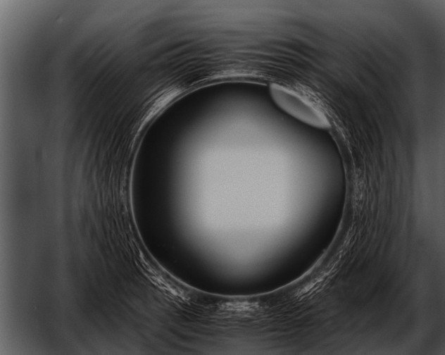 X0000052651137200507160216