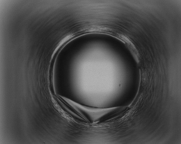 X0000052651138200507160216