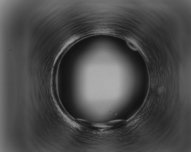 X0000052651139200507160216