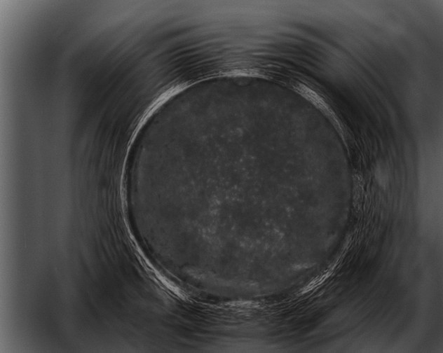 X0000052651141200507160216