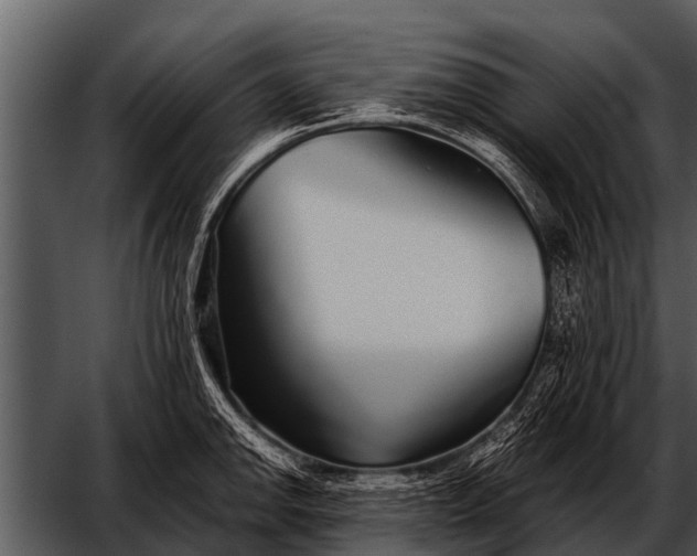 X0000052651142200507160216