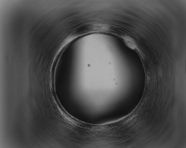 X0000052651143200507160216