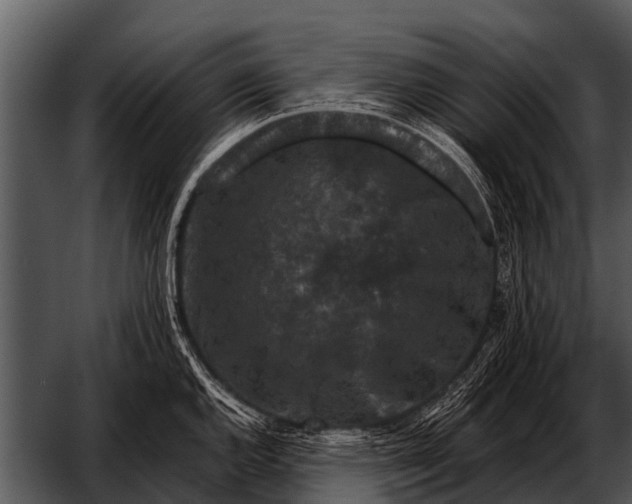 X0000052651144200507160216