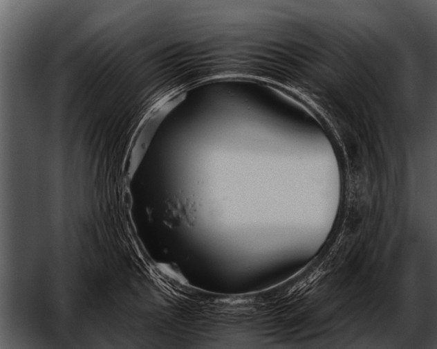 X0000052651145200507160216