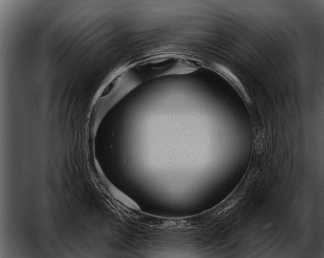 X0000052651146200507160216