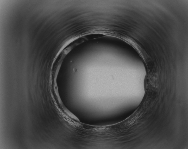 X0000052651147200507160216