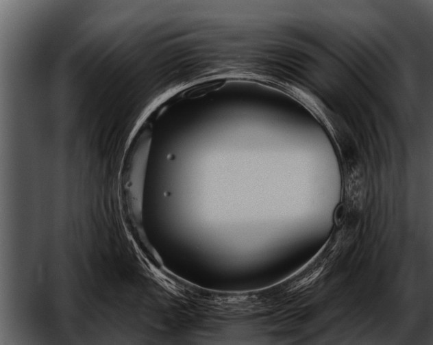 X0000052651149200507160216