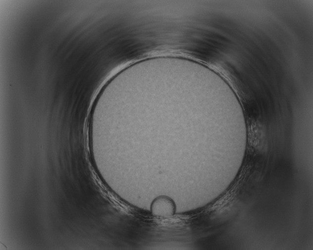 X0000052651150200507160216