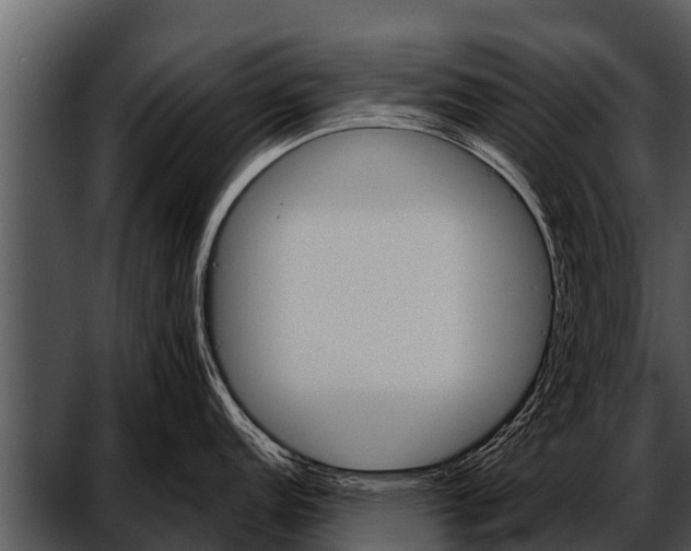 X0000052651152200507160216