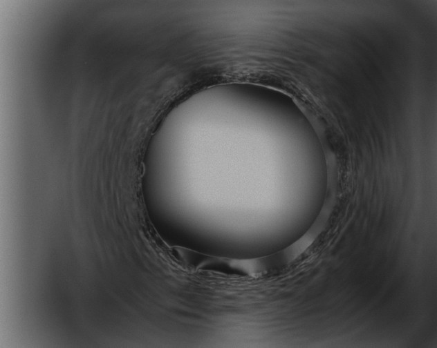 X0000052651153200507160215