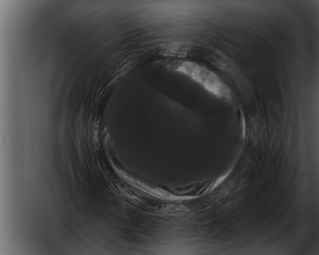 X0000052651154200507160215