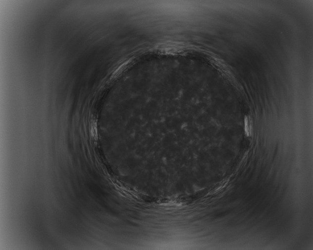 X0000052651155200507160215