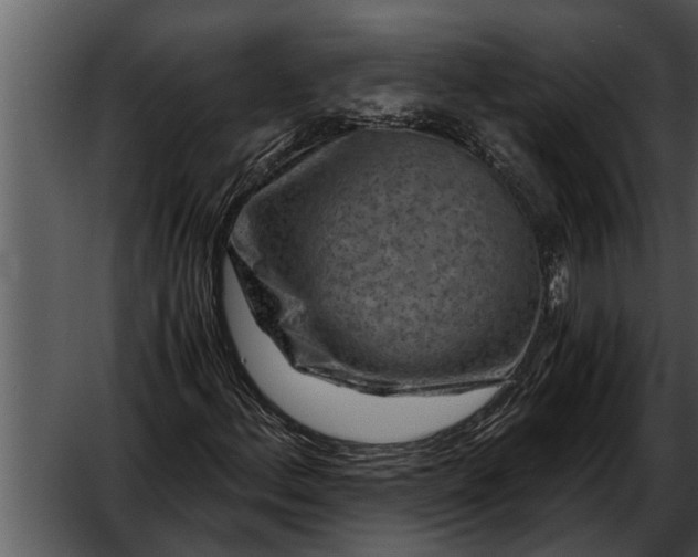 X0000052651156200507160215