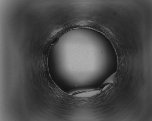 X0000052651158200507160215