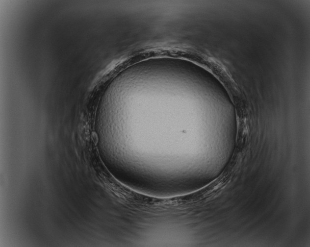 X0000052651159200507160215