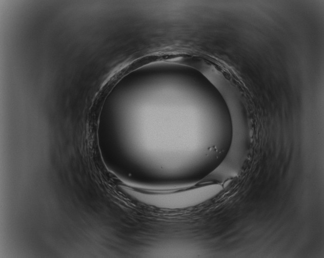 X0000052651160200507160215