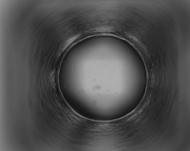 X0000052651162200507160215