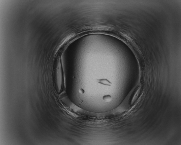 X0000052651163200507160215