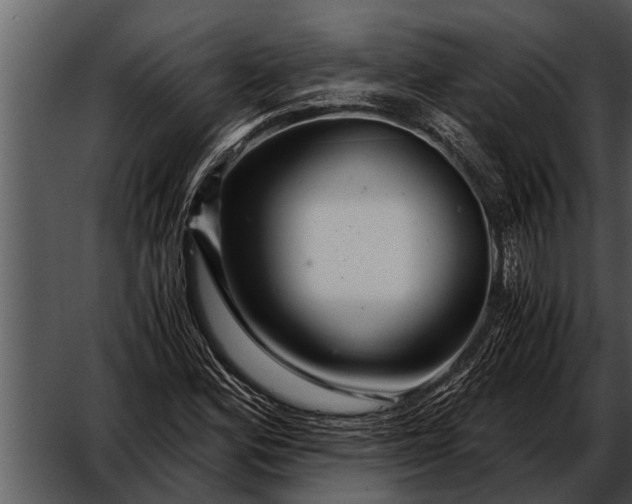 X0000052651164200507160215