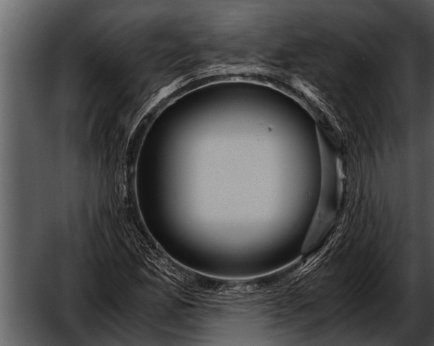 X0000052651165200507160215