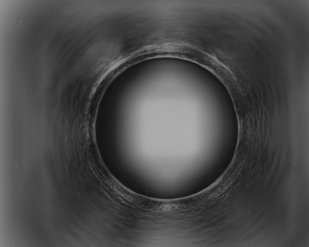 X0000052651166200507160215