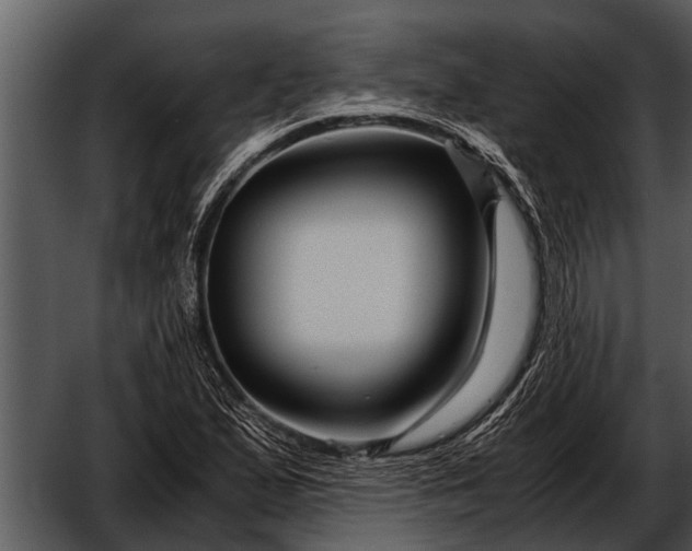 X0000052651167200507160215